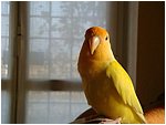 Foto 05.jpg