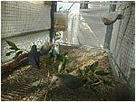 Foto 07.jpg