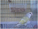 Foto 08.jpg