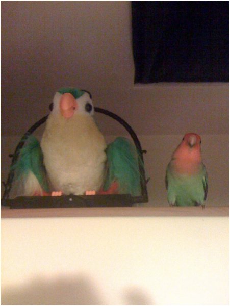 Foto 05.JPG