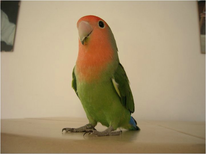 Foto 06.jpg