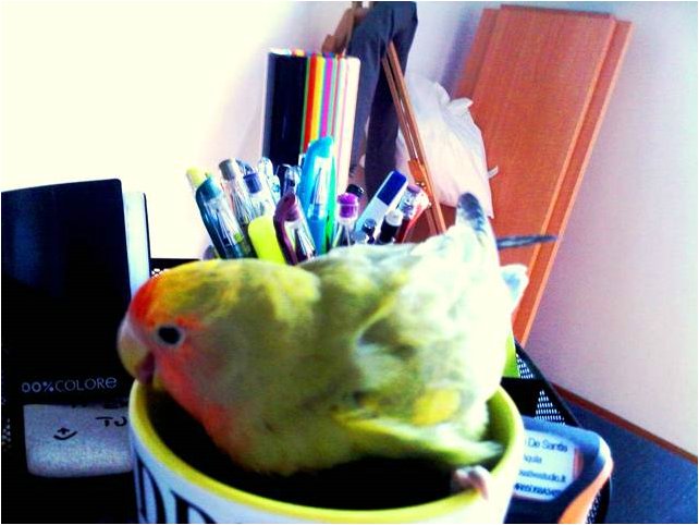Foto 07.JPG