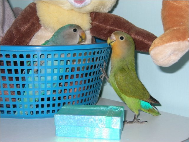 Foto 05.jpg