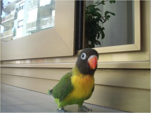 Foto 11.jpg
