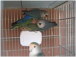 Foto 02.jpg