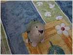 Foto 03.jpg