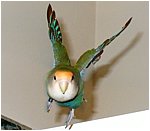 Foto 06.jpg