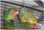 Foto 07.jpg