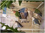 Foto 09.jpg