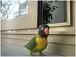 Foto 11.jpg
