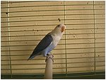 Foto 13.jpg