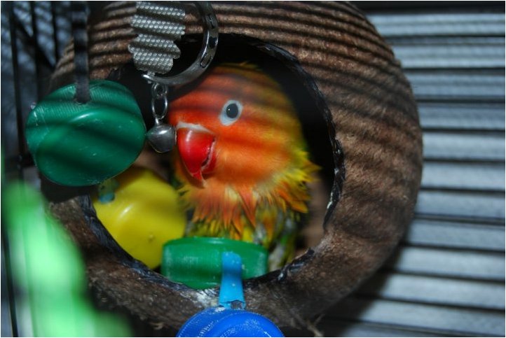 Foto 07.JPG