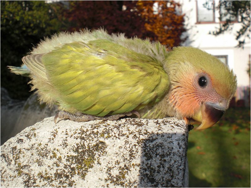 Foto 09.JPG