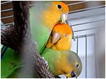 Foto 02.JPG