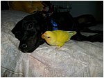 Foto 08.JPG