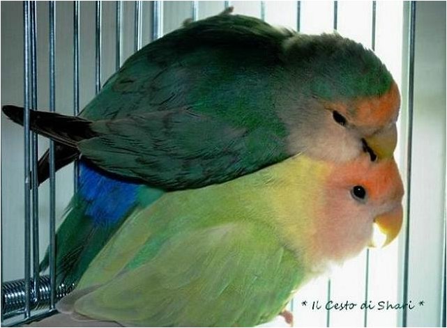 Foto 03.jpg