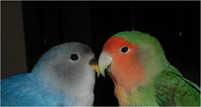 Foto 07.JPG
