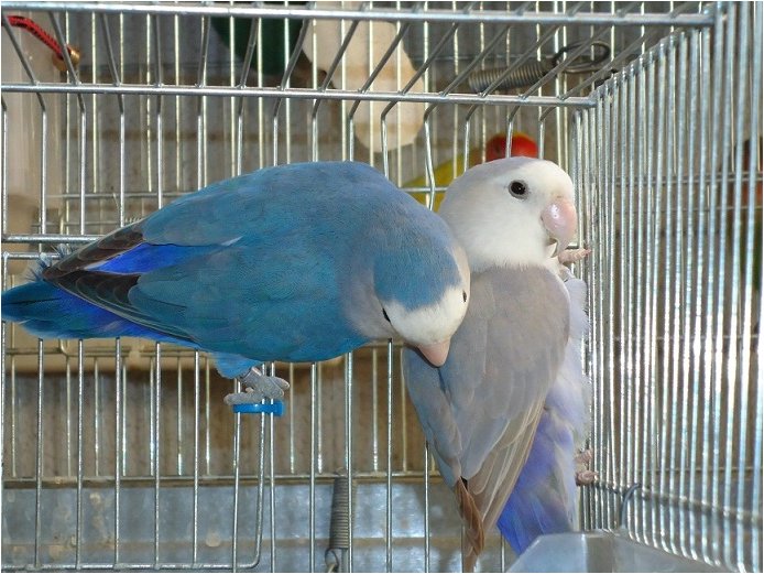 Foto 08.JPG