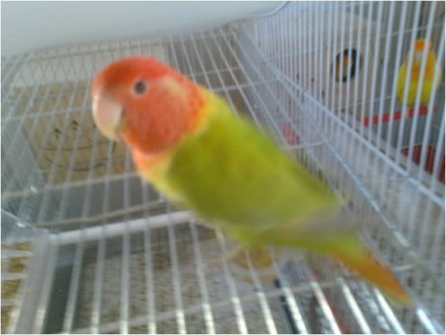 Foto 06.jpg