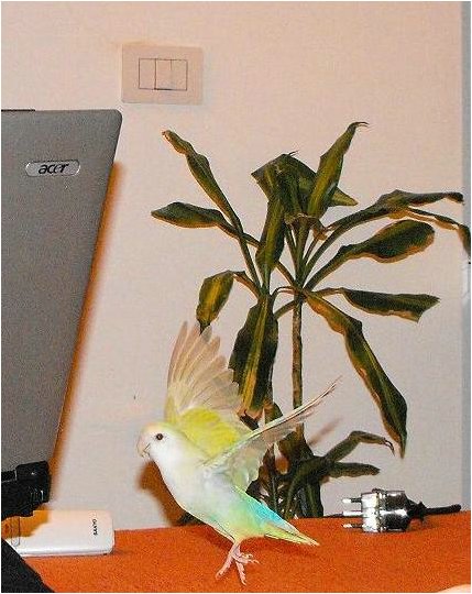 Foto 07.jpg