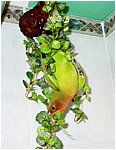 Foto 02.jpg