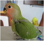 Foto 03.jpg