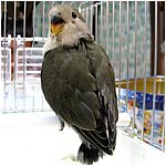 Foto 10.jpg