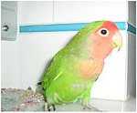 Foto 11.jpg