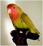 Foto 12.jpg