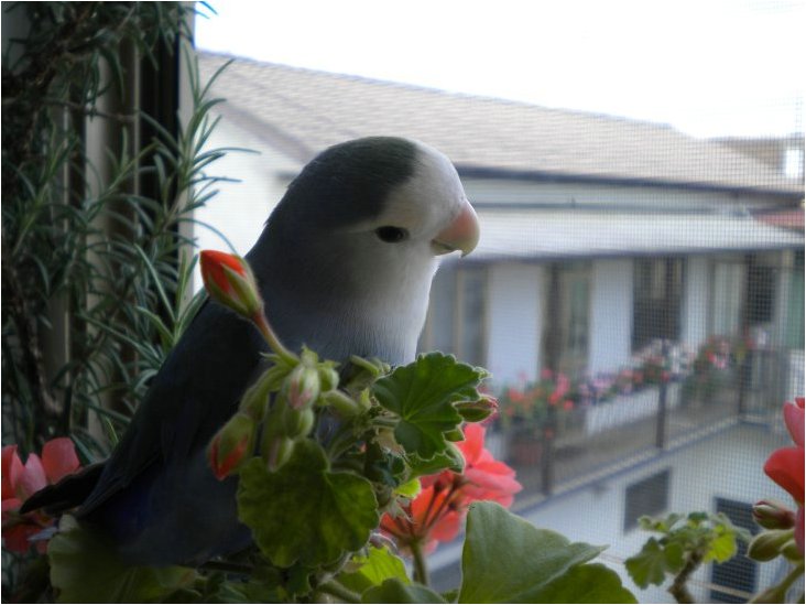 Foto 04.jpg