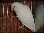 Foto 06.jpg