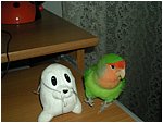 Foto 09.JPG