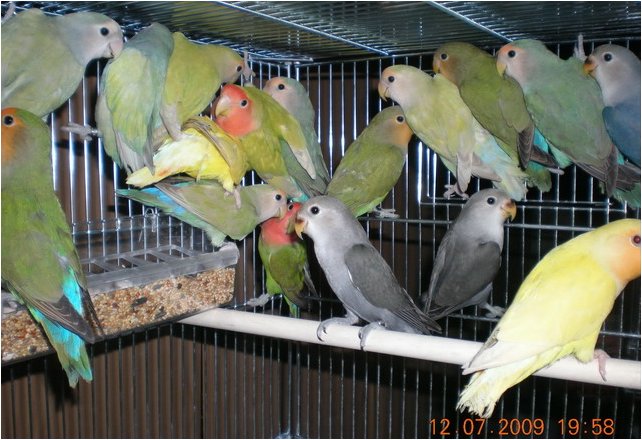 Foto 03.jpg