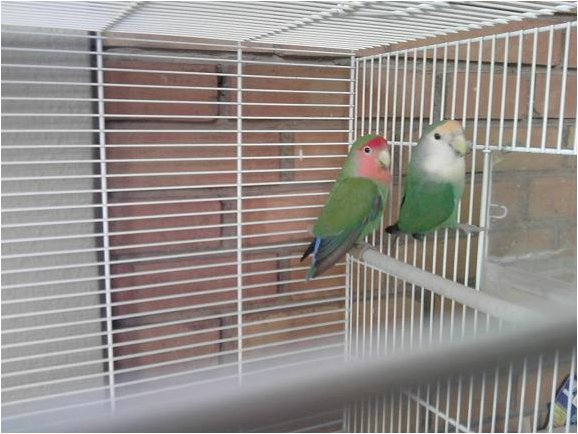 Foto 13.jpg