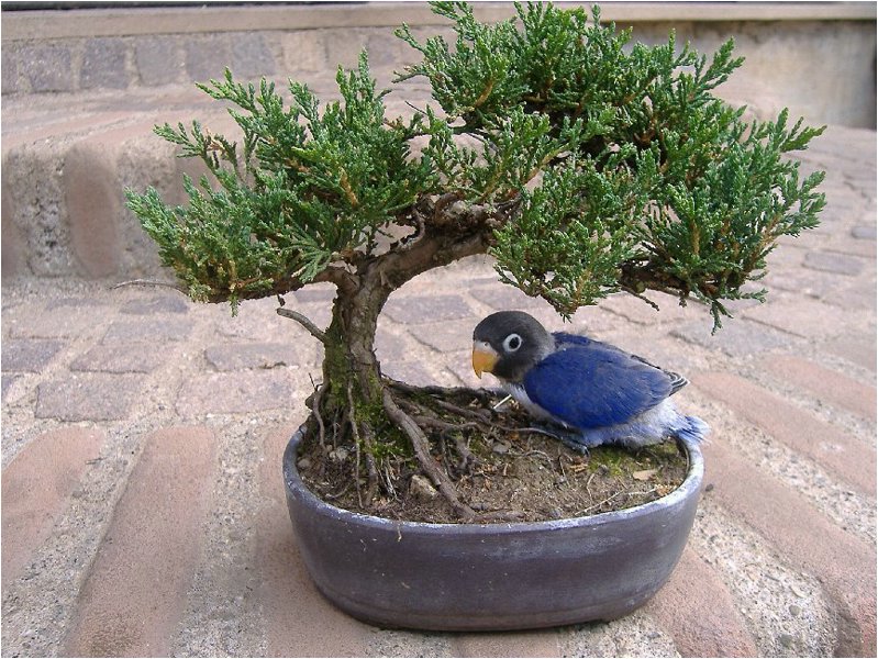 Foto 06.jpg
