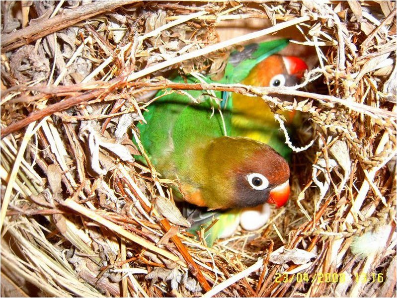 Foto 09.JPG