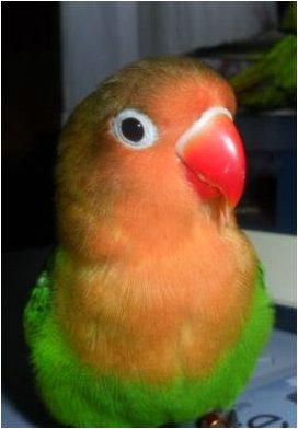 Foto 10.jpg