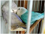 Foto 01.JPG