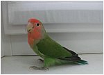 Foto 03.jpg