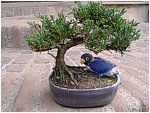 Foto 06.jpg