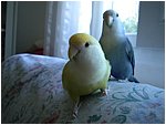 Foto 07.JPG