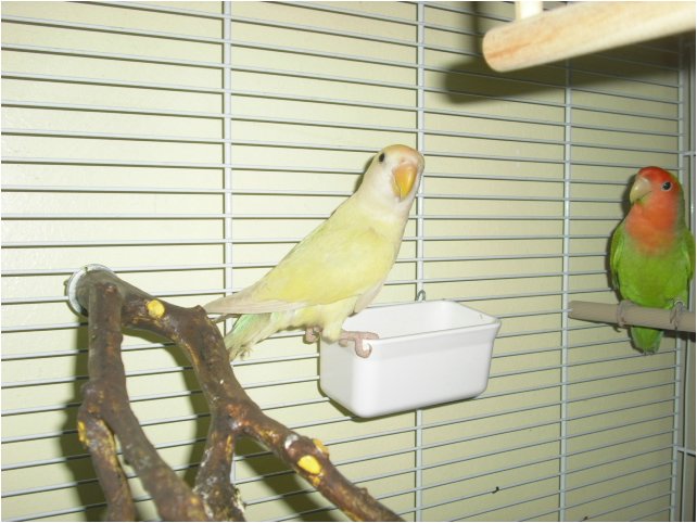 Foto 10.jpg