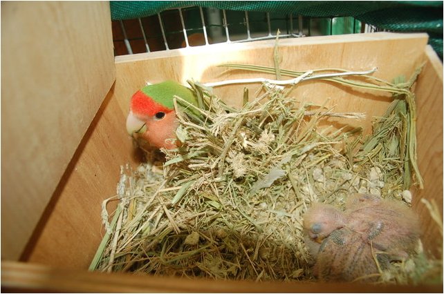 Foto 06.jpg
