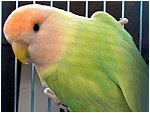 Foto 01.JPG