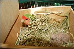 Foto 06.jpg