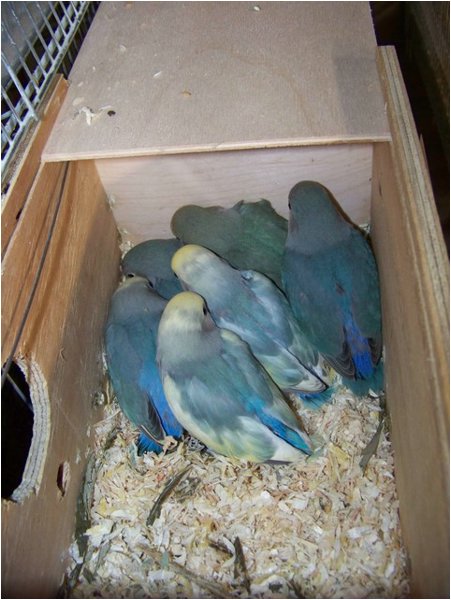 Foto-08.jpg