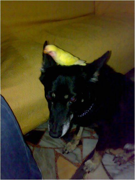 Foto-10.jpg