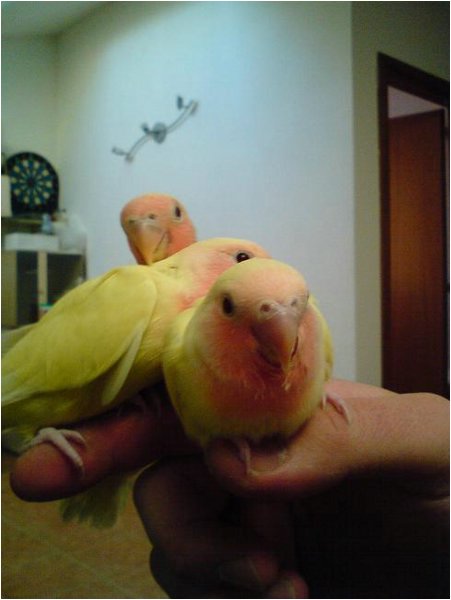 Foto-13.jpg