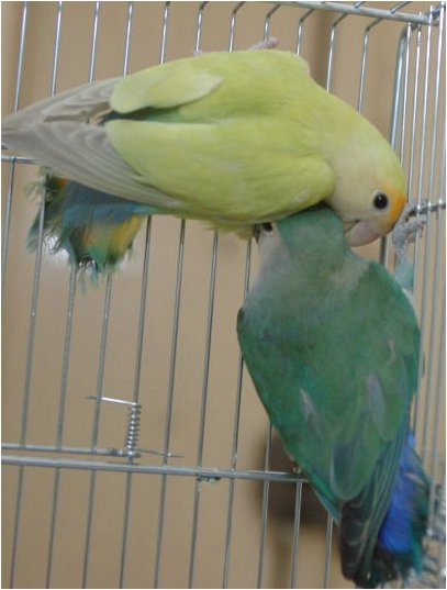 Foto 10.jpg