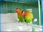 20 - 23Gennai02005.jpg